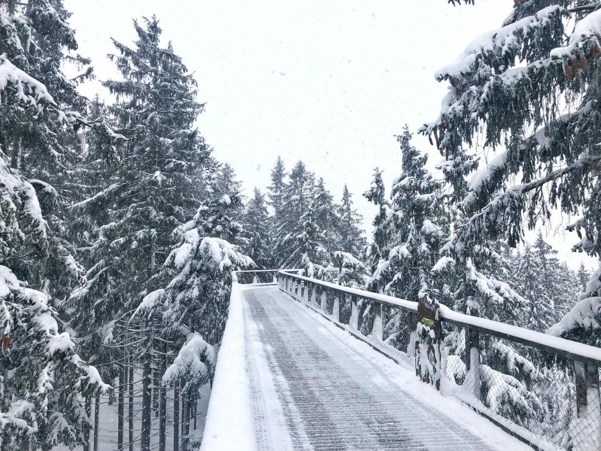 Apartmany Riviera 511 Lipno nad Vltavou Exteriör bild